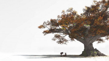 Картинка 3д+графика природа+ nature дерево