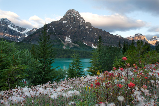 Обои картинки фото природа, пейзажи, горы, озеро, цветы