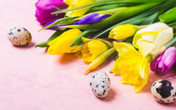 Картинка праздничные пасха цветы яйца colorful тюльпаны happy flowers tulips easter eggs