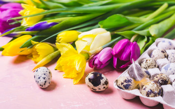 обоя праздничные, пасха, цветы, яйца, colorful, тюльпаны, happy, flowers, tulips, easter, eggs