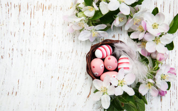 Картинка праздничные пасха ветки праздник яйца гнездо крашенки композиция eggs