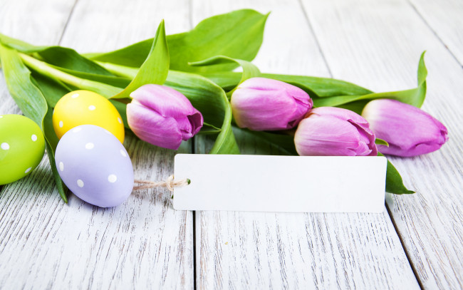 Обои картинки фото праздничные, пасха, цветы, тюльпаны, happy, flowers, tulips, easter, purple, eggs