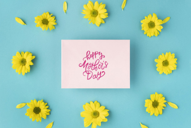 Обои картинки фото праздничные, день матери, хризантемы, лепестки, надпись