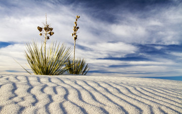 обоя природа, пустыни, песок, волны