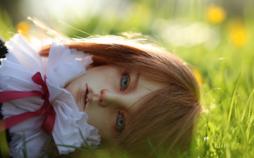 Картинка разное игрушки bjd doll шарнирная кукла голубые глаза трава