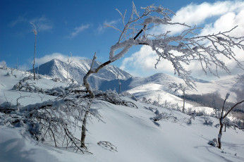 Картинка сихотэ-+алинь природа горы зима сихотэ- алинь