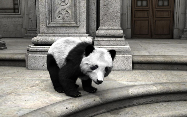 Обои картинки фото 3д графика, животные , animals, панда