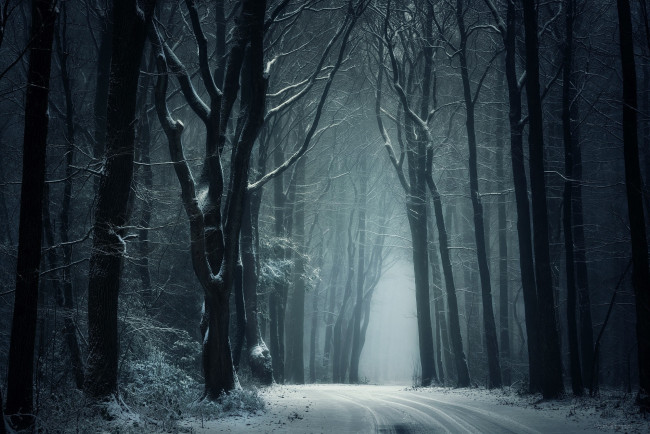 Обои картинки фото природа, дороги, снег, деревья, дорога, зима