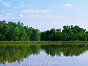 Картинка природа реки озера гладь пруд лето