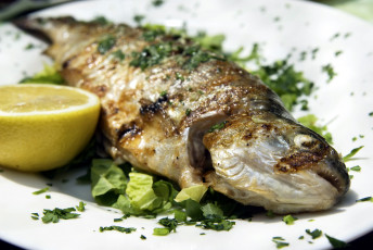 Картинка еда рыбные+блюда +с+морепродуктами лимон форель