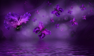 Картинка разное компьютерный+дизайн floral лепестки water butterflies purple бабочки