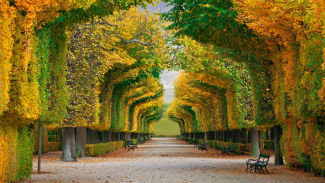 Обои картинки фото природа, парк, скамейки, аллея, листопад, осень