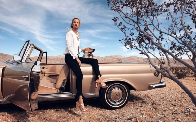 Обои картинки фото carolyn murphy, автомобили, -авто с девушками, женщина, в, машине, сarolyn, murphy, американская, модель, фотосессия, собака, пустыня, кабриолет