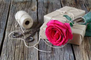 Картинка цветы розы роза нитки ножницы