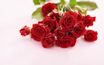 Картинка цветы розы букет красные