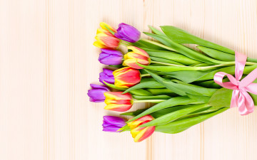 обоя цветы, тюльпаны, букет, желтые, фиолетовые, лента, flower, yellow, wood, background, tulips, purple, pin