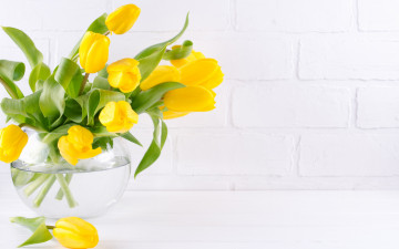 обоя цветы, тюльпаны, букет, желтые, ваза
