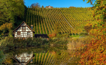 Картинка города -+здания +дома пруд дом виноградники