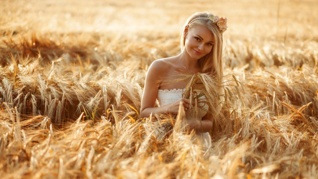 Обои картинки фото девушки, - блондинки,  светловолосые, поле, колосья, блондинка