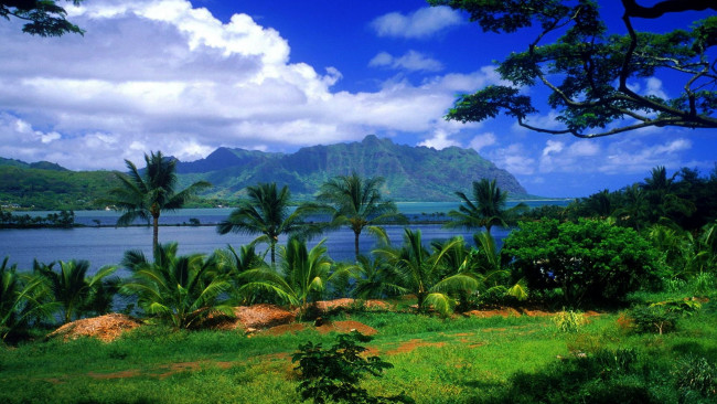 Обои картинки фото kaneohe fish pond, hawaii, природа, тропики, kaneohe, fish, pond