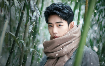 Картинка мужчины xiao+zhan актер шарф лес бамбук снег