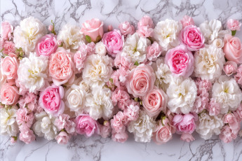 обоя 3д графика, цветы , flowers, розы