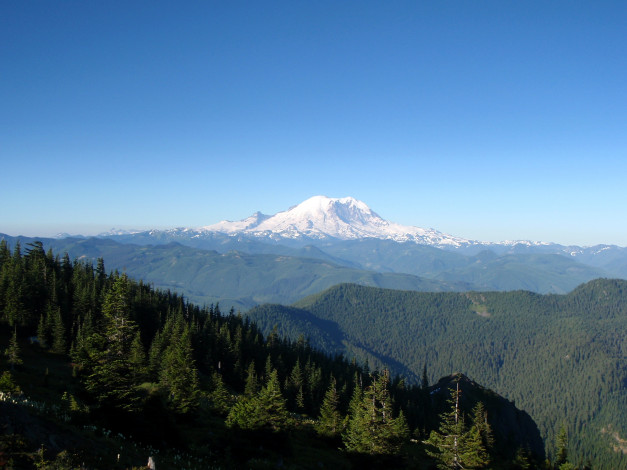 Обои картинки фото природа, пейзажи, washington, usa, national, park, mount, rainier