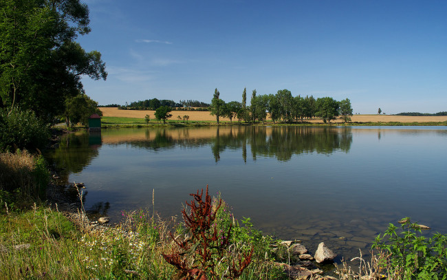 Обои картинки фото природа, реки, озера, река, камни, деревья