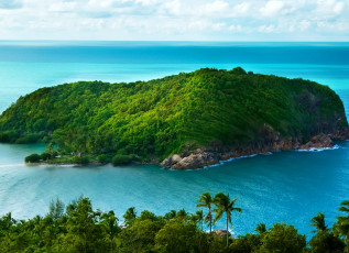 Картинка природа тропики океан побережье пальмы остров