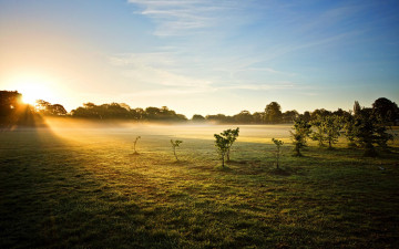 Картинка природа восходы закаты рассвет туман лучи свет деревья трава поле