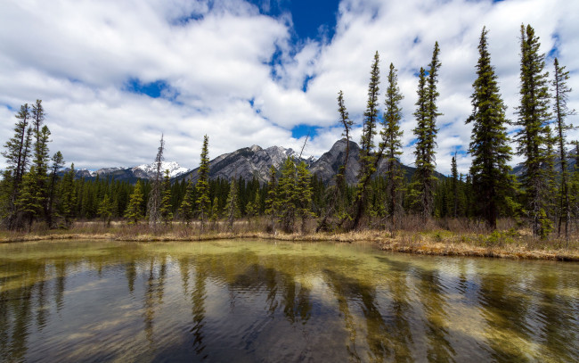 Обои картинки фото sulphur, mountain, banff, national, park, alberta, canada, природа, реки, озера, горы, озеро, деревья, банф, альберта, канада