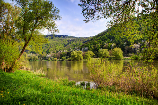 Обои картинки фото германия, нерен, природа, реки, озера, река, берег, деревья
