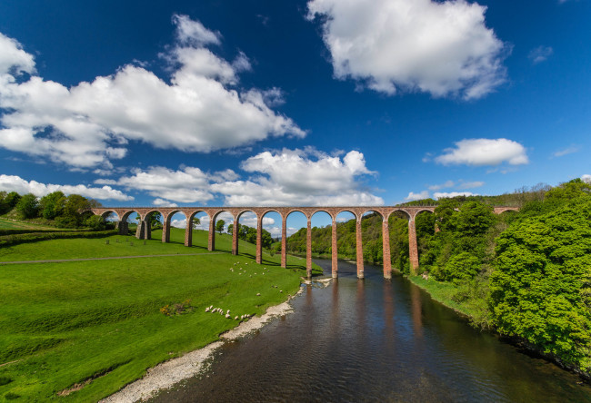 Обои картинки фото leaderfoot, viaduct, scotland, природа, реки, озера, виадук, шотландия, река, твид, river, tweed, мост, луг