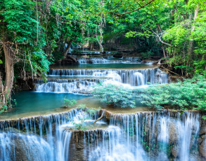 Картинка природа водопады деревья водопад кусты