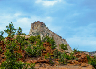 Картинка природа горы растительность скалы