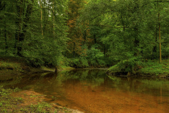 Картинка природа реки озера лето река лес