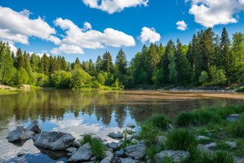 Картинка природа реки озера вода лес
