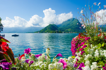 Картинка lake+annecy +france природа реки озера пейзаж цветы горы france lake annecy франция озеро анси