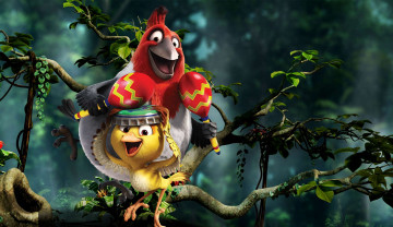 Картинка мультфильмы rio+2 попугай цыпленок ветка