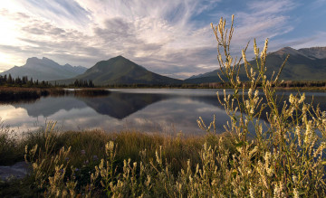 Картинка природа реки озера горы озеро лето отражение