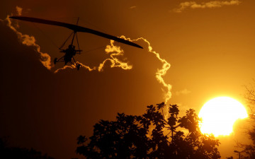 Картинка авиация другое вечер дельтаплан силуэты деревья кусты закат небо солнце облака