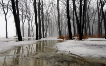 Картинка природа зима ice snow wintermission rain water fog