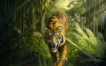 Картинка животные тигры тигр джунгли