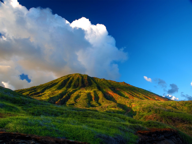 Обои картинки фото гавайи гонолулу, природа, горы, гавайи, гонолулу, гора, вулкан, трава