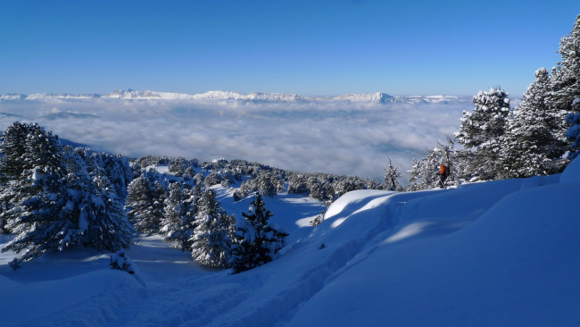 Обои картинки фото природа, зима, ели, снег, горы