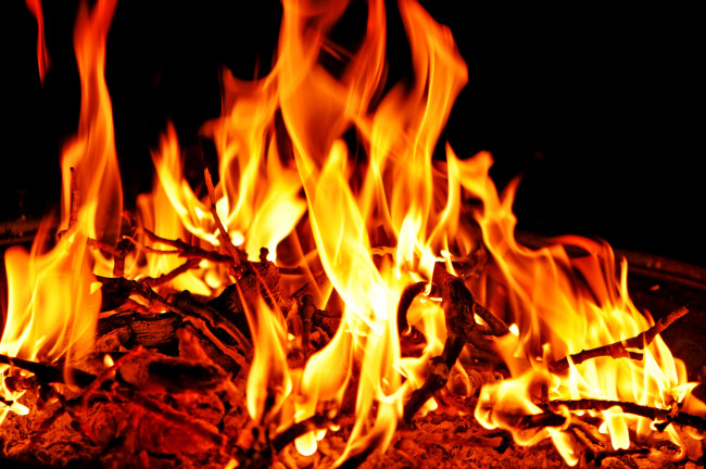 Обои картинки фото природа, огонь, ветки, пламя, костер