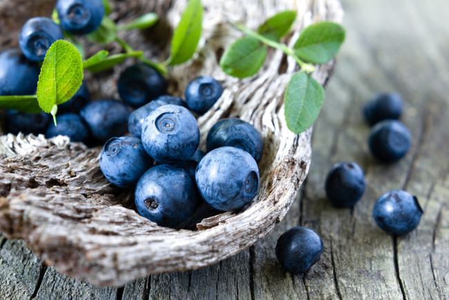 Обои картинки фото еда, голубика,  черника, blueberry, fresh, berries, wood, ягоды, черника