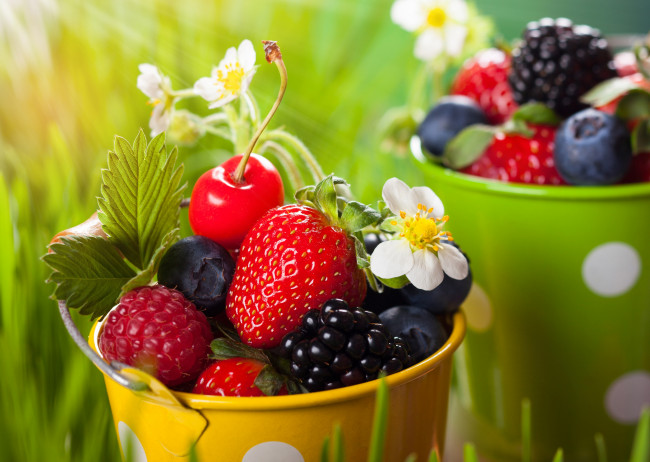 Обои картинки фото еда, фрукты,  ягоды, малина, клубника, вишня, черника, ежевика