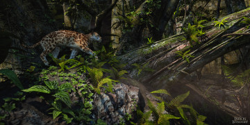 Картинка 3д+графика животные+ animals ягуар лес