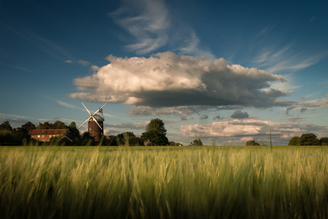 Обои картинки фото разное, мельницы, облака, небо, великобритания, поле, весна, old, buckenham, посёлок